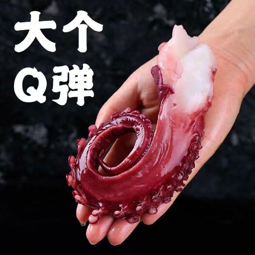 连云港【冷链运输】脆口须鱿鱼新鲜冷冻大章鱼足鱿鱼须刺身八爪鲜活水产