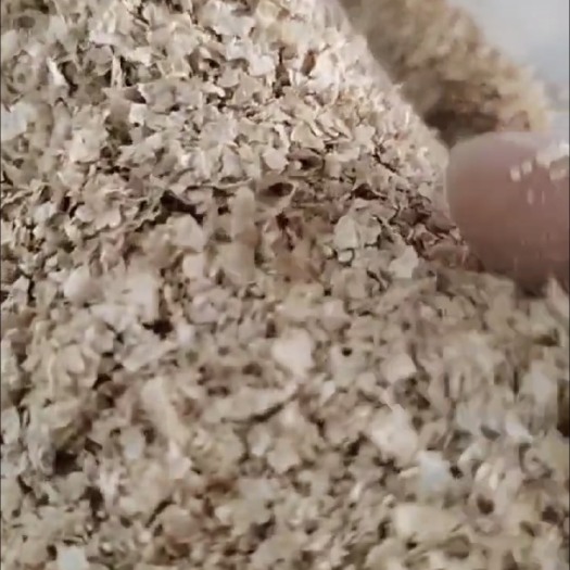 石家庄麸皮