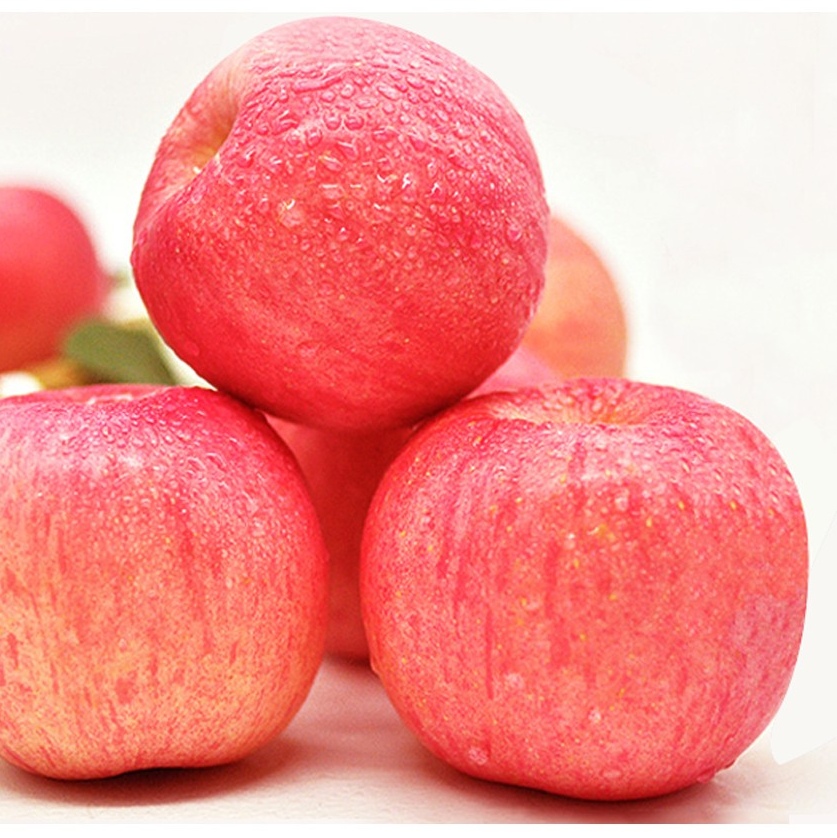 洛川县陕西洛川产地直发红富士苹果新鲜水果冰糖心脆甜多汁皮薄