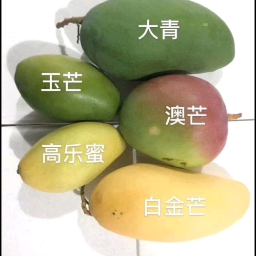 兴业县玉芒，一件代发，量大价格优惠