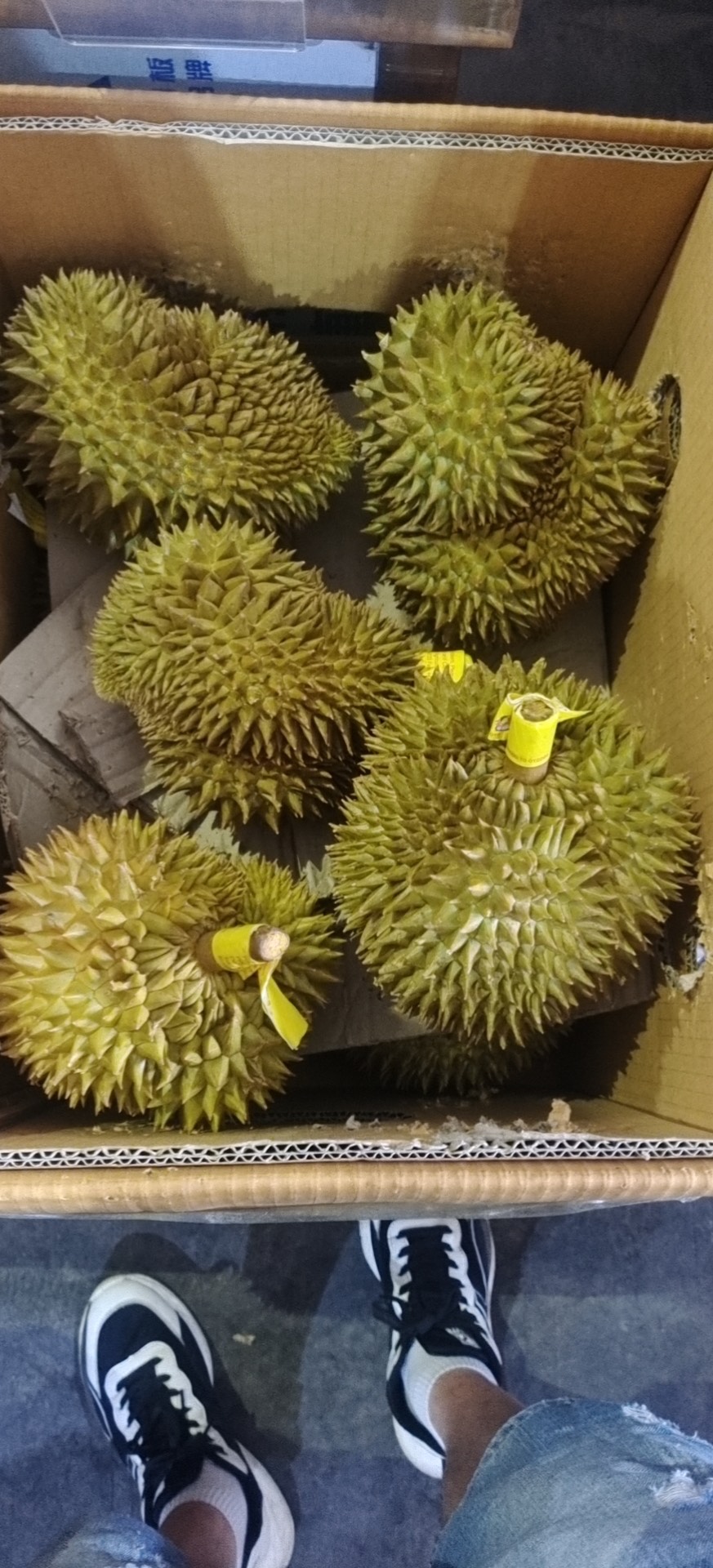 泰国金枕巴掌榴莲。￼