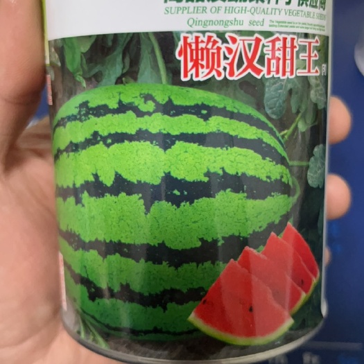夏邑县懒汉西瓜种子  懒汉甜王西瓜种子（免整枝打岔）耐运输果肉鲜红
