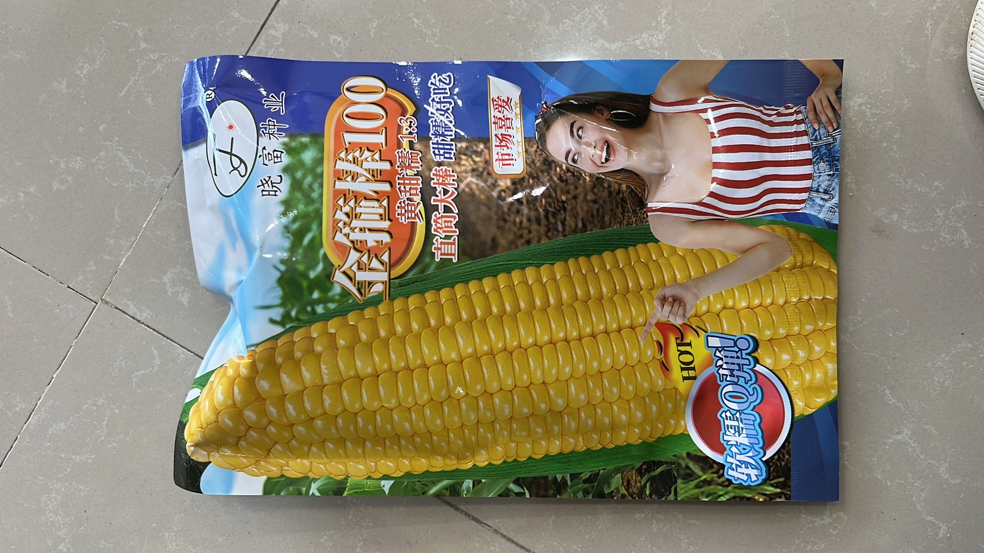 夏邑县金箍棒黄色糯玉米种子 黏玉米种子软糯香甜口感好棒子大