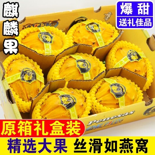 景洪市麒麟燕窝果支持一件代发对接团长电商主播