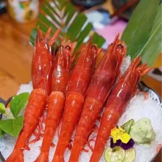 连云港红魔虾    刺身     料理      大酒店