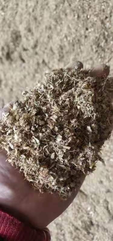 昆明大蒜渣大蒜粕13％