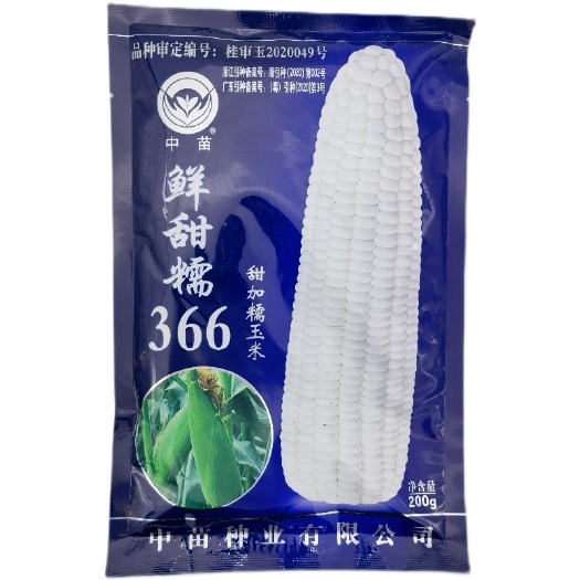 东方市366鲜甜糯玉米种子，口感好吃，卖相好，种植户和收购商认可