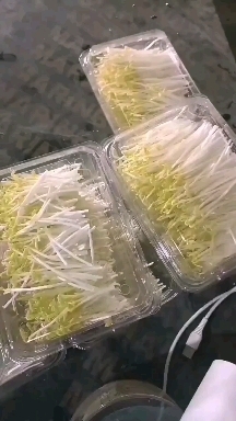 望江县水培芽苗菜，碗豆苗，花生芽，黑豆苗，赤豆苗，空心菜苗，黄豆苗