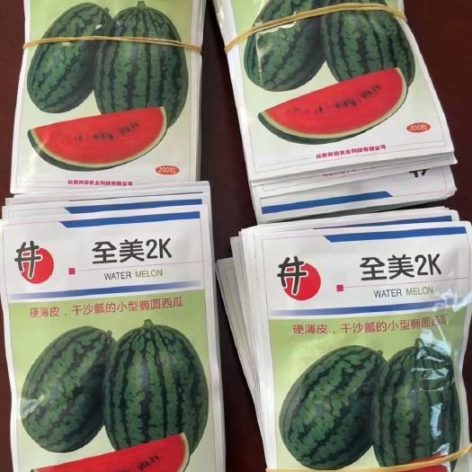 寿光市2k西瓜苗 全美2K西瓜嫁接苗 自根西瓜苗 礼品西瓜苗