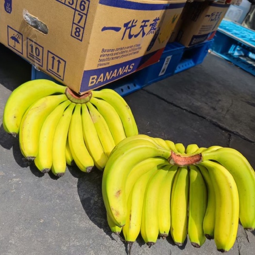 滕州市国产小箱精品香蕉