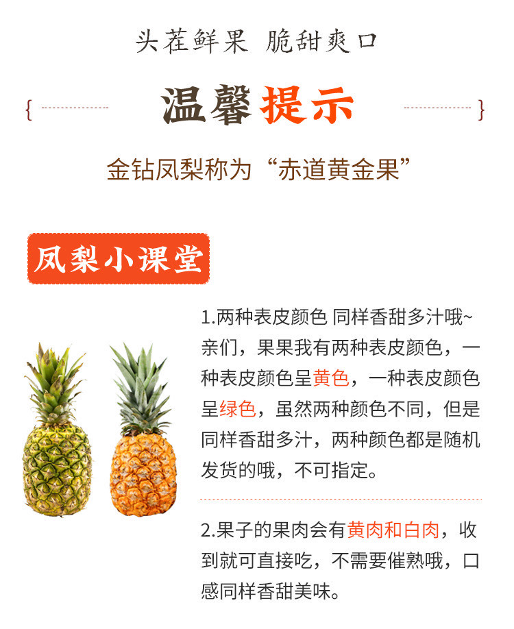 海南9斤金钻凤梨新鲜水果牛奶香水菠萝手撕无眼凤梨树熟大果包邮