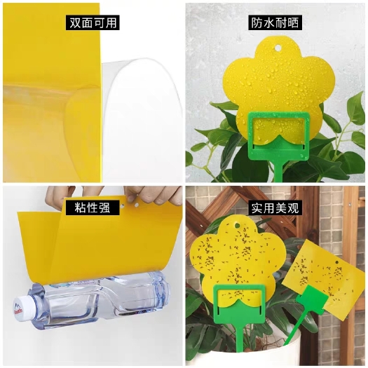 忠县粘虫板大棚专用黄板双面小黑飞果蝇诱捕器诱虫板贴纸农用家用蓟马
