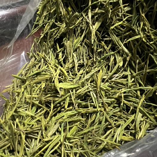 湖州湖州高山黄茶