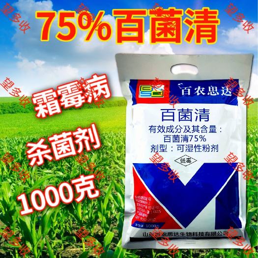 蓝粉75%百菌清好原料 霜霉病褐斑病叶斑病真菌病害杀菌剂
