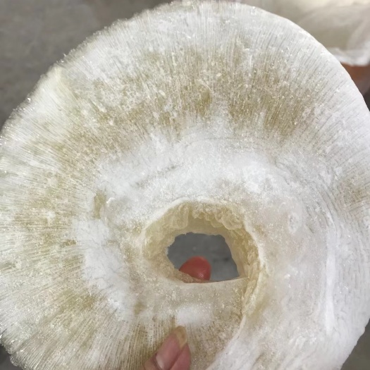 晋江市金勾鲍翅1—2头水发金钩翅鲍翅牙拣鱼翅佛跳墙汤料