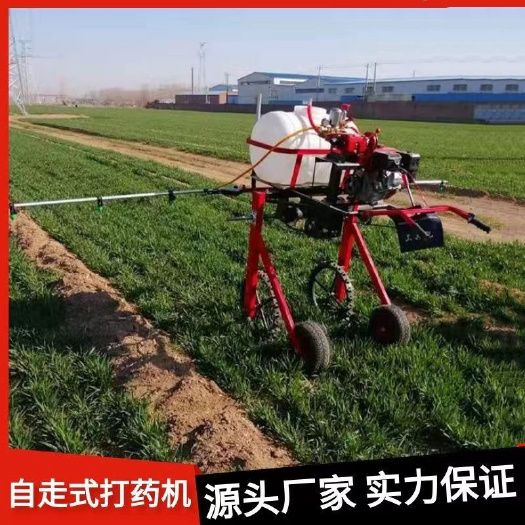曲阜市自走式噴桿打藥機 小麥蔬菜玉米打藥機 噴桿可升降打藥車利興