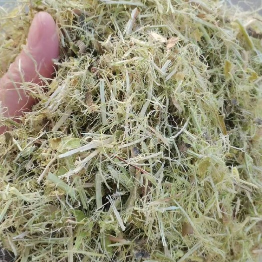 新河县柠条草粉压块/颗粒
