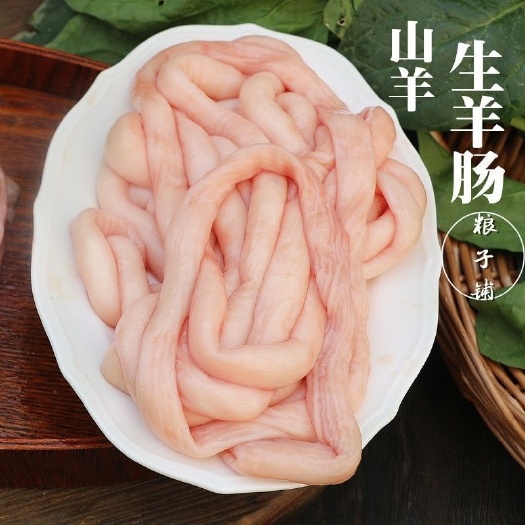 菏泽新鲜生羊肠羊肥肠大肠头批发羊肥肠羊大肠5斤10斤装冷冻包邮