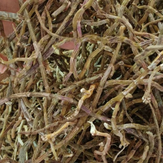 玉林中药材铁皮石斛