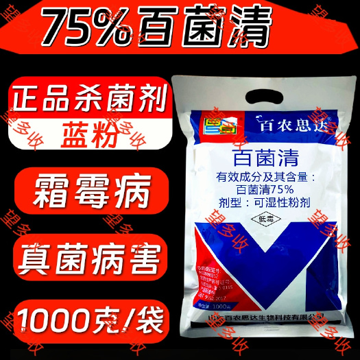 长沙75%百菌清 蓝粉好原料霜霉病炭疽病白粉病锈病叶斑病杀菌剂