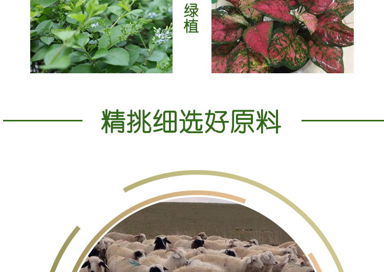 家用发酵羊粪有机肥西芹 豆角 红薯 等农作物用肥