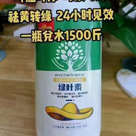 郑州土草帽绿叶素：黄叶变绿卷叶变展小叶变大薄叶变厚弱叶变壮叶