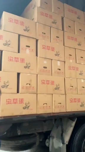 上海上海区域免费配送虫草蛋净重在41－43斤