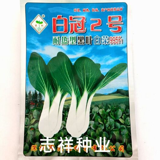 范记白冠2号耐热型黑叶白菜种子杂交白梗黑叶白梗菜种籽200克