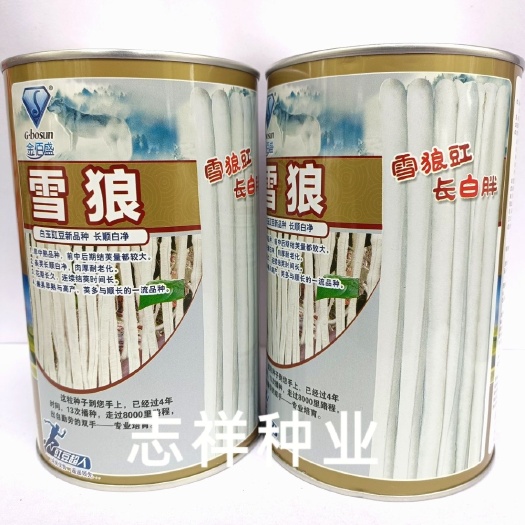 华容县金佰盛雪狼长白豆角种子早中熟爬藤白玉豇豆种籽春秋基地种