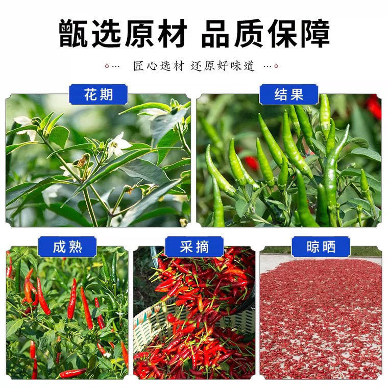 重庆石柱红5号纯货特辣特香颜色好味道棒卤菜炒菜火锅炒酱熬油