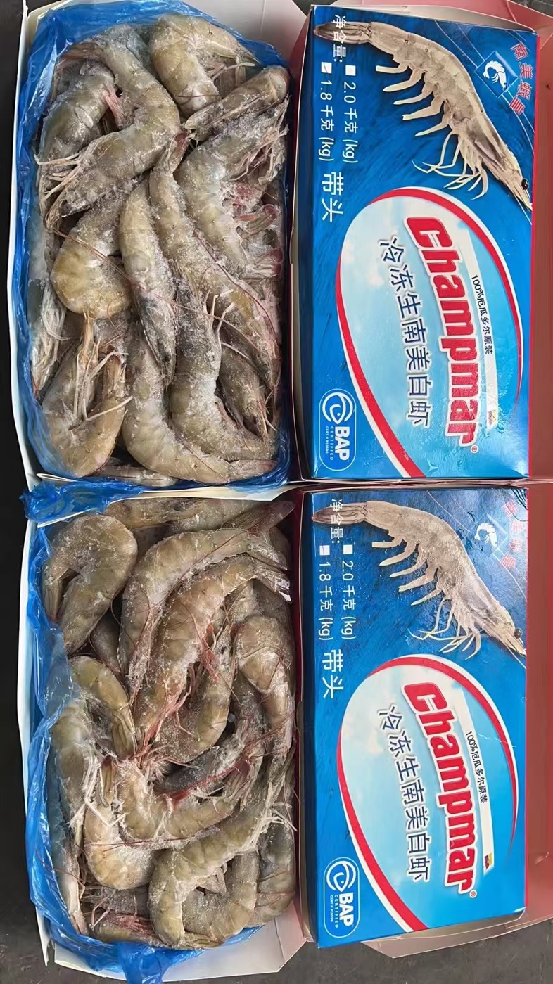 青岛水冻虾皇1.8公斤4050