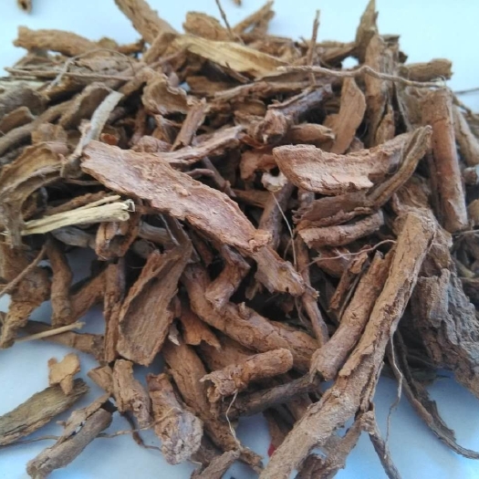 柘城县地骨皮