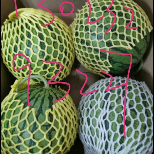 上海冠龙西瓜  特小凤西瓜 特小凤黄瓤西瓜