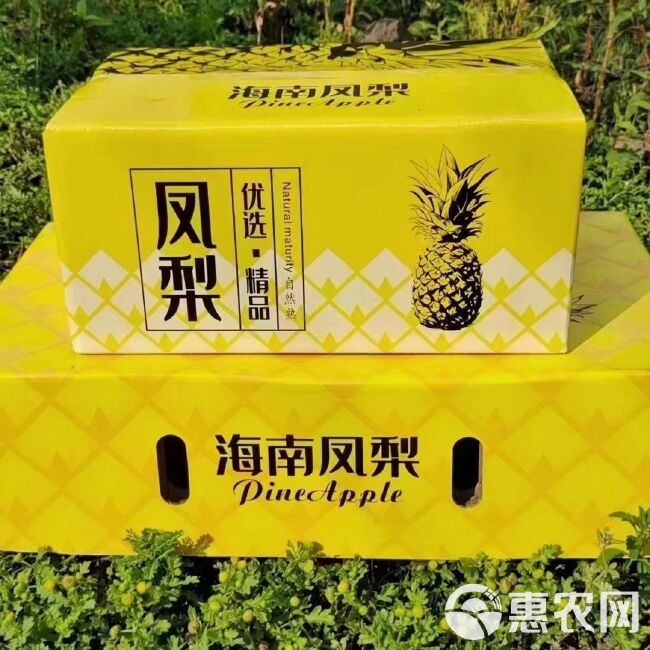 【热品】海南金钻凤梨新鲜水果凤梨甜当季热销水果整箱批发