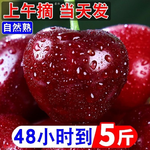 邹城市山东邹城美早漏天一级大果2斤/3斤/5斤顺丰冷链包邮