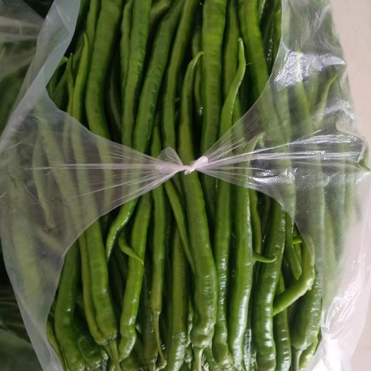 三都县瓜果蔬菜