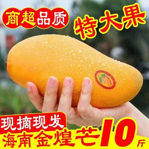 昆明海南金煌芒新鲜甜大芒果当季水仙芒热带水果大青芒整箱批发包邮