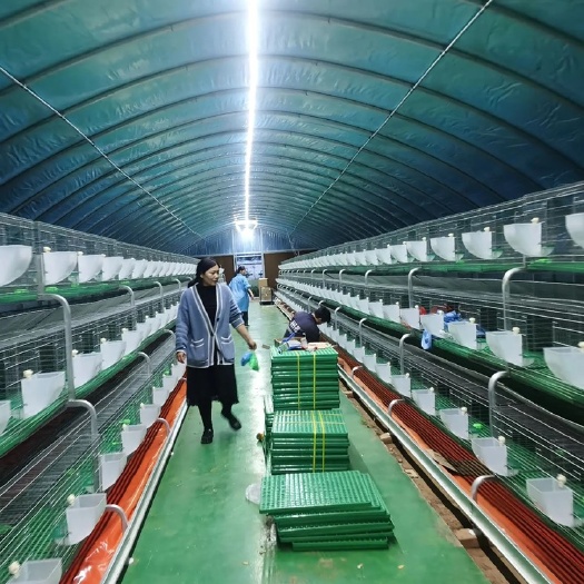 养殖大棚  蔬菜种植骨架 养殖骨架 骨架材料全国发货