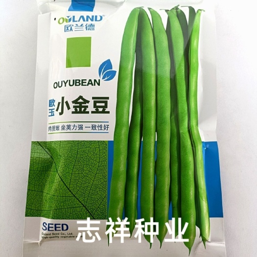华容县欧兰德欧玉小金豆种子早熟红花青荚无筋四季豆芸豆架豆种子籽云南