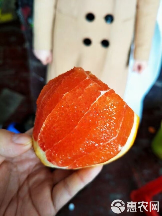 【中华红橙】肉色橙红、嫩滑、汁化渣、甜中带酸味清橙香果园直供