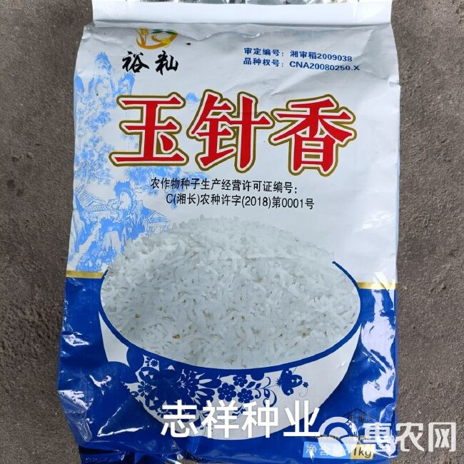 谷种优质香米稻种 玉针香 常规水稻种子晚稻种子米质优浓香米