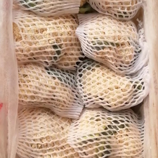 寿光市寿光菜花，全年不断货，量大，欢迎对接