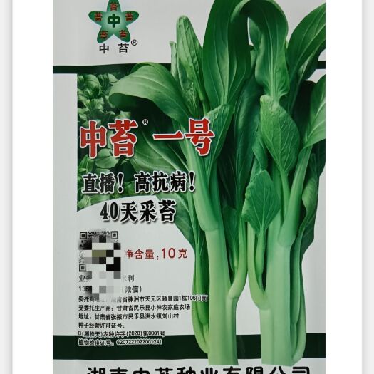 华容县中苔一号白菜苔种子 极早熟40天采收菜苔 抗热小白菜种菜苔