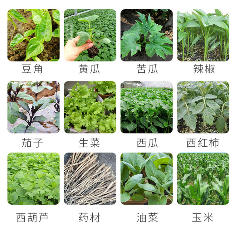 蔬菜苗移栽机  不锈钢栽苗器 手提式菜苗定植器