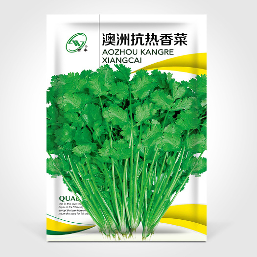 澳洲抗热四季香菜种子大叶香菜种籽农田菜园基地阳台蔬菜种子