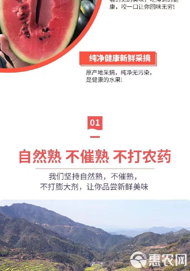 应季黑美人高山沙地西瓜皮薄甜爆汁西瓜5/6/7/8斤包邮发