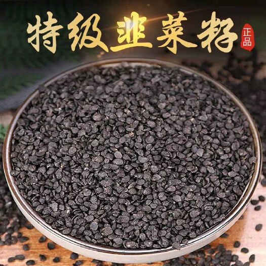 亳州韭菜籽 天热韭菜籽 中药材入药 一公斤起批
