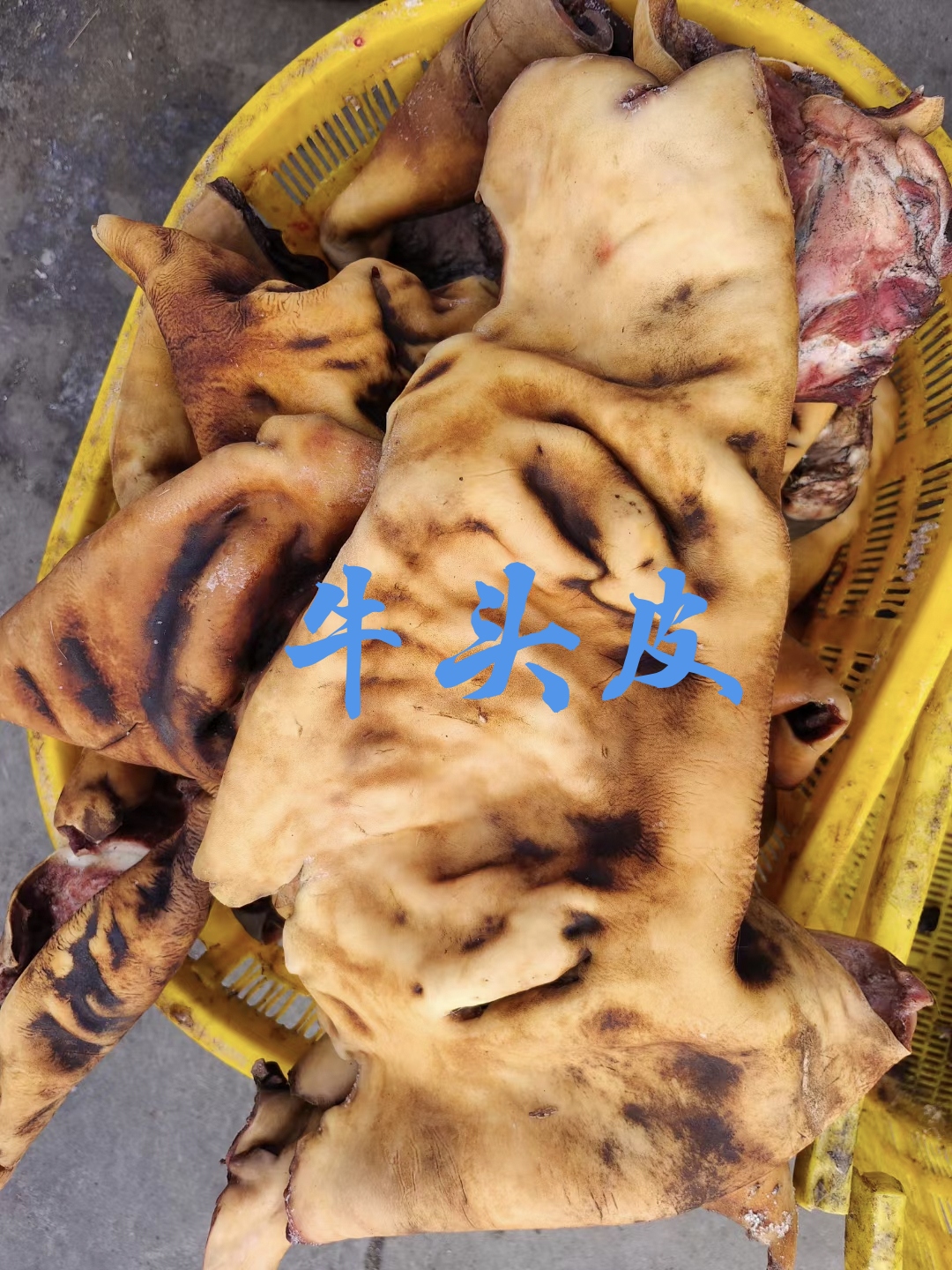 锡林浩特【牛头皮】黄牛的脸皮头皮，生的火燎水洗，干净无碱！全国发货！