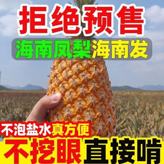 【真海南发货】海南金钻凤梨手撕凤梨新鲜应季水果包邮10斤