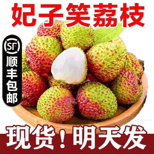 广东领南荔枝妃子笑籽小肉厚自家果园当季水果孕妇水